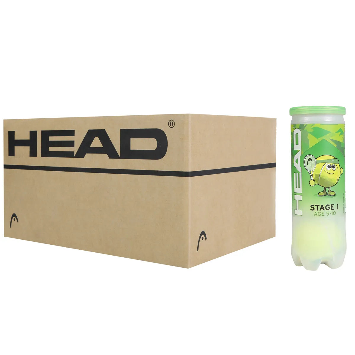 Doos van 24 Tubes met 3 Head Tip Groene Ballen