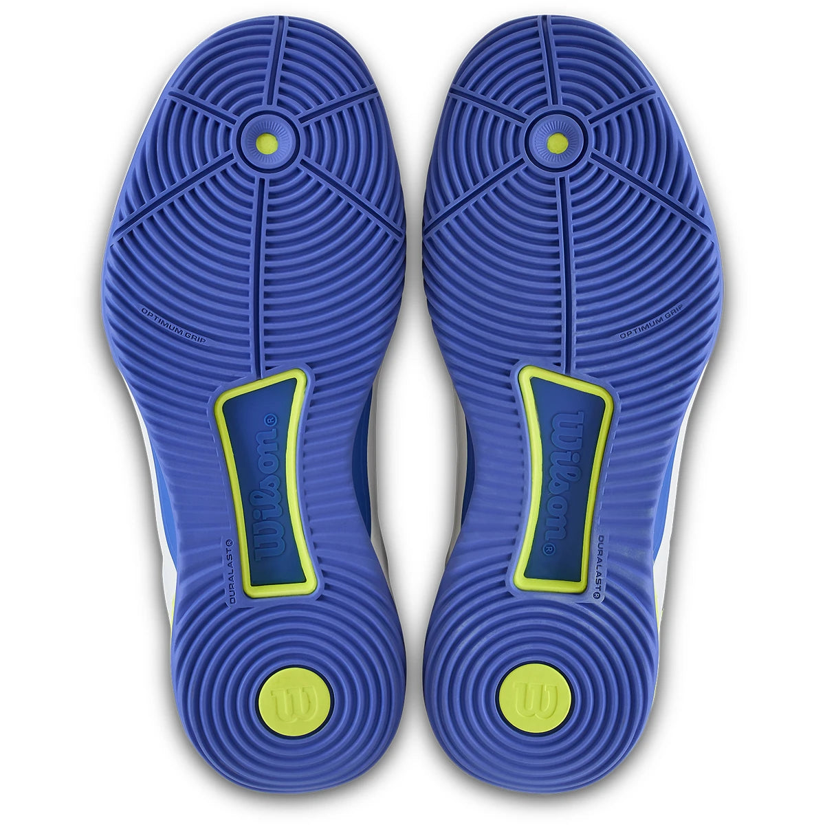 Padelschoenen Wilson Dames Intrigue Tour