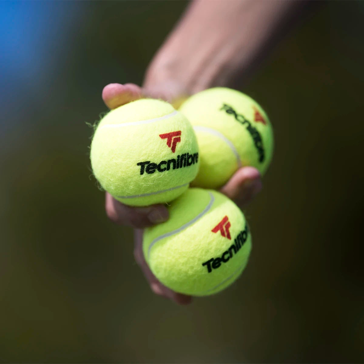 Doos van 36 Tubes van 4 Tecnifibre X-One Ballen