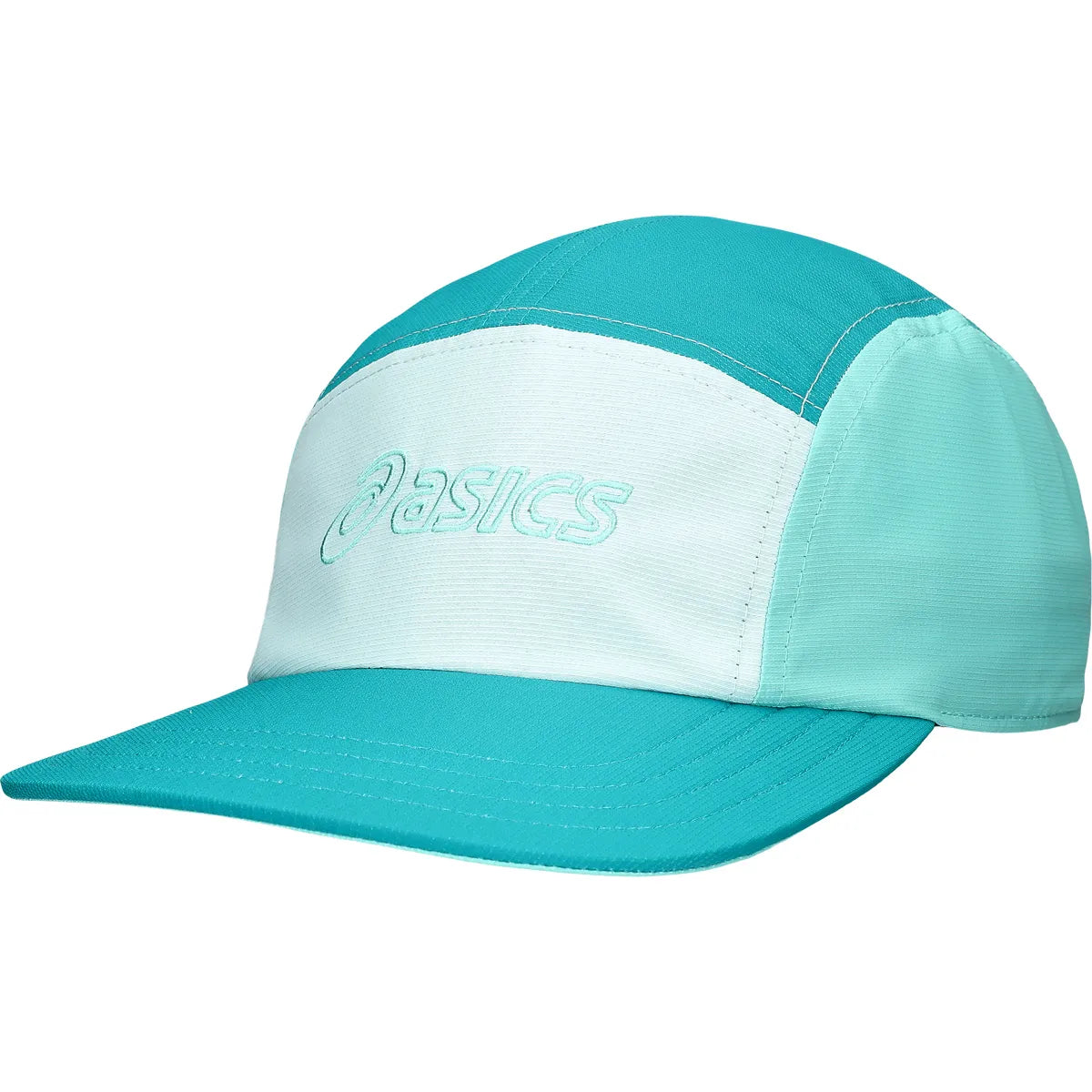 Pet Asics 5 Panel