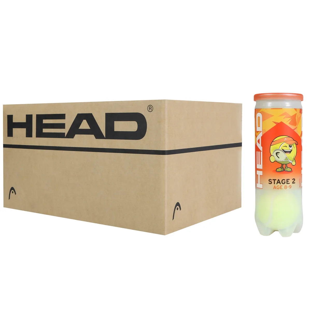 Doos met 24 Tubes van 3 Head Tip Oranje Ballen
