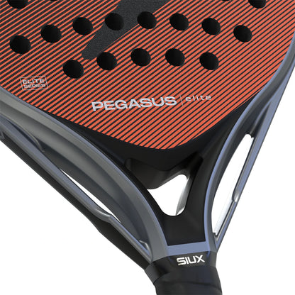 Padelracket Siux Pegasus Elite 4