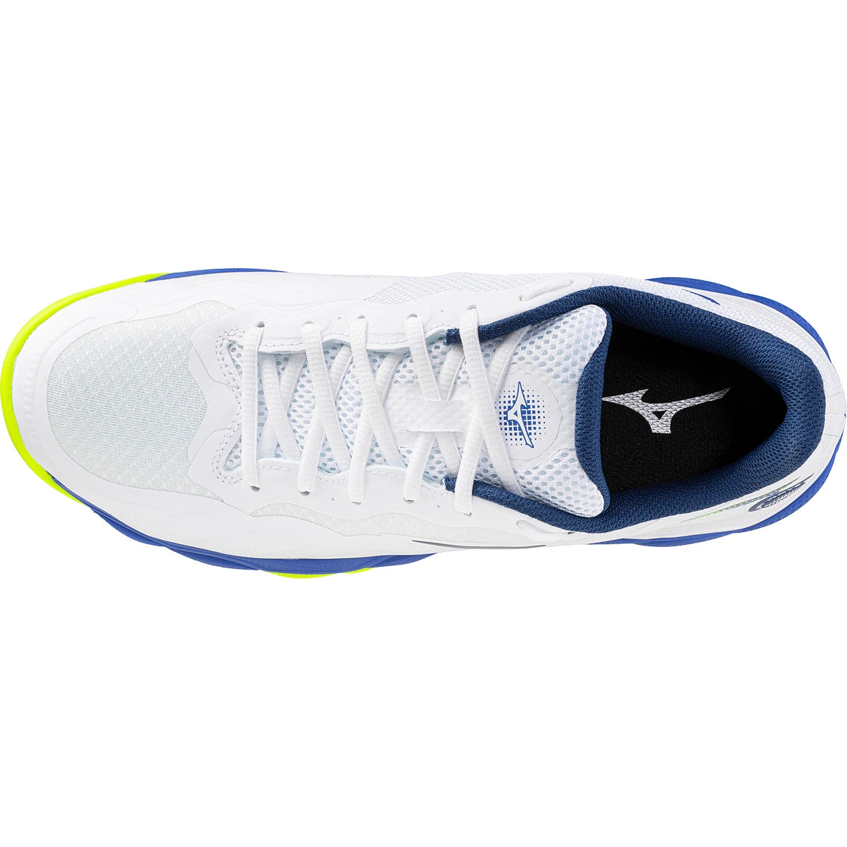 Chaussures Mizuno Wave Enforce Court Schoenen alle ondergronden