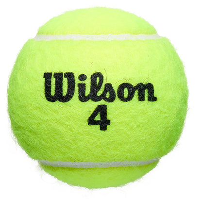 Tube van 3 Wilson Roland Garros Clay Court ballen
