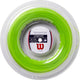 Spoel Wilson Sensation (200 Meter)