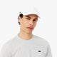 Pet Lacoste Classic Performance