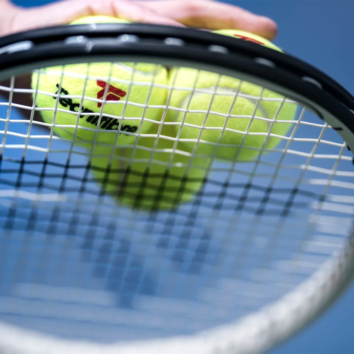 Doos van 36 Tubes van 4 Tecnifibre X-One Ballen