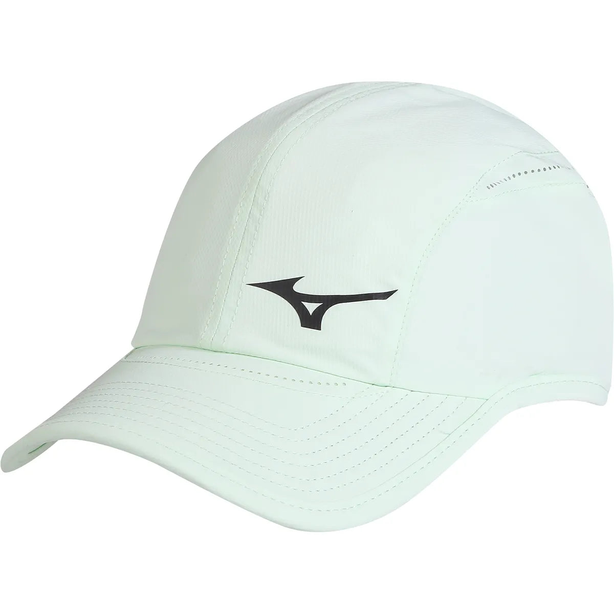Pet Mizuno Drylite