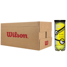 WILSON MINIONS STAGE 1 TENNISBALLEN (DOOS VAN 24 TUBES MET 3 BALLEN) 