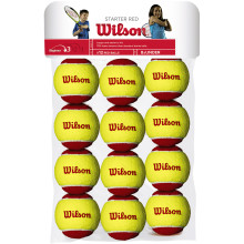 WILSON STARTER RED ZAK VAN 12 BALLEN