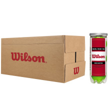 DOOS MET 24 TUBES VAN 3 WILSON RUSH 100 PADELBALLEN