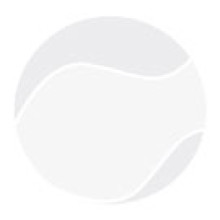 DUNLOP ATP CHAMPIONSHIP DOOS MET 18 BUIZEN VAN 4 BALLEN