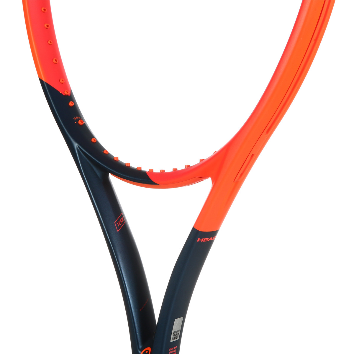 HEAD RADICAL TEAM RACKET (280 GR) - HEAD - Adult rackets - Rackets