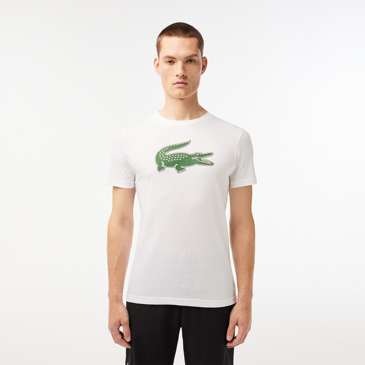 White lacoste t shirt mens cheap