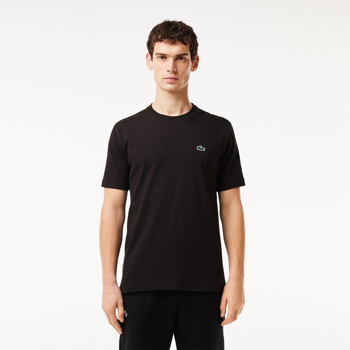 LACOSTE T SHIRT LACOSTE Heren Kleding Tennispro